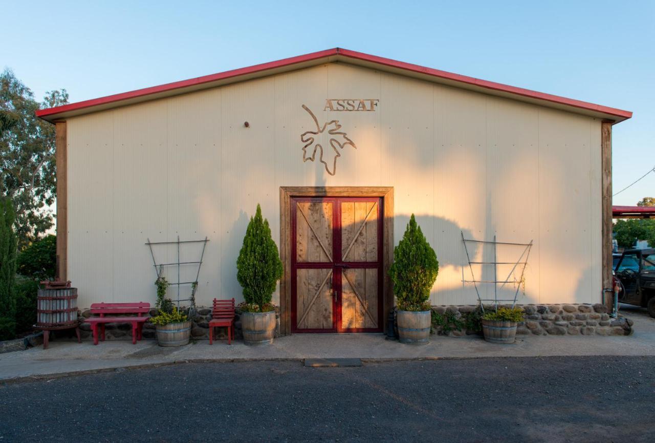 Assaf Boutique Winery & Cabins Kidmat Tsvi Ngoại thất bức ảnh